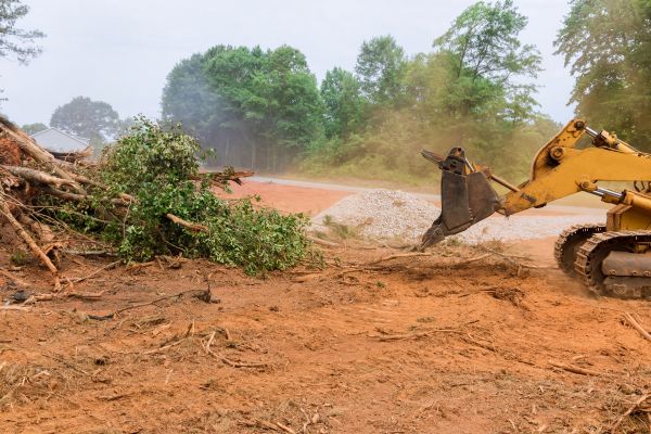 Ground Clearing in Salem