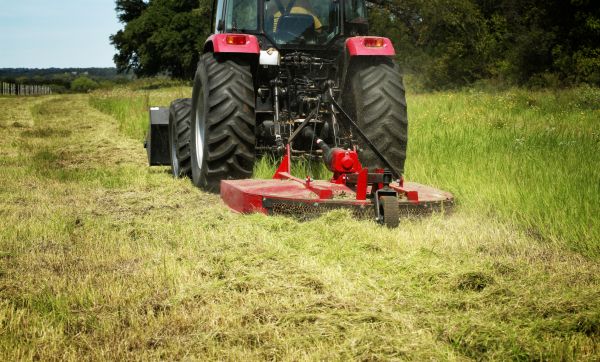 Brush Clearing Service in Salem