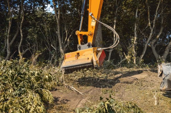 Brush Removal Service in Salem