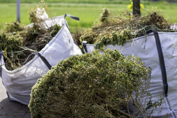 Bushes Clearing in Salem