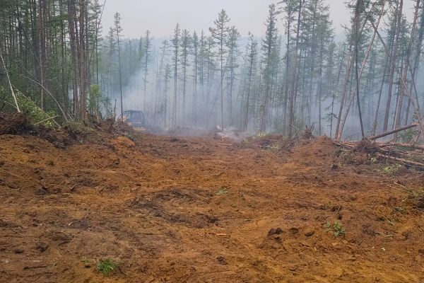 Hill Clearing in Salem