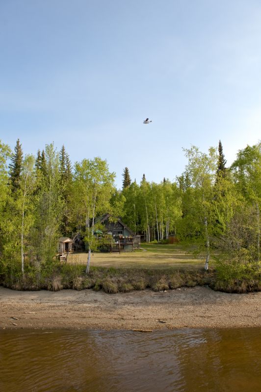 Winter Land Clearing Challenges